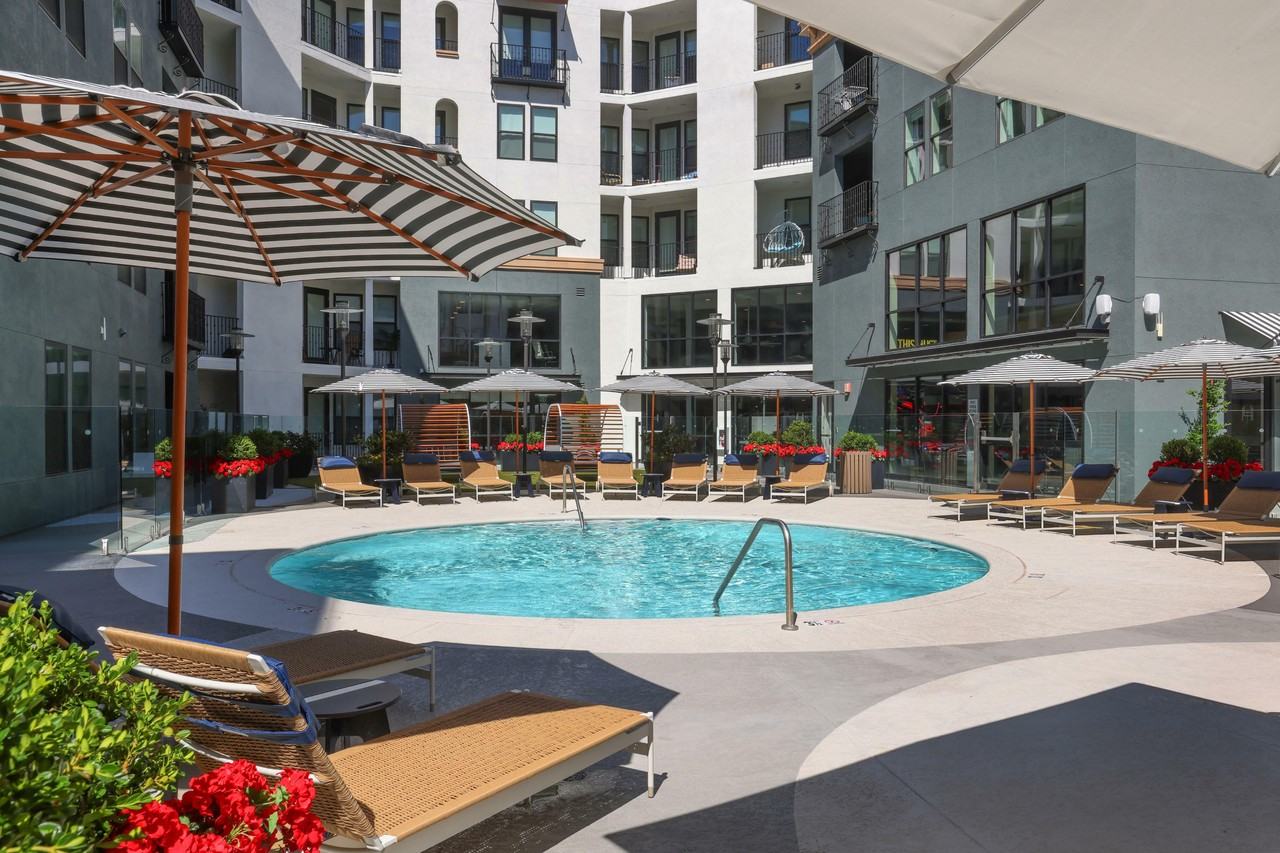 The Harrison - Photo 5 of 38