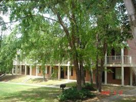 featured image of 250 Elm Street #126