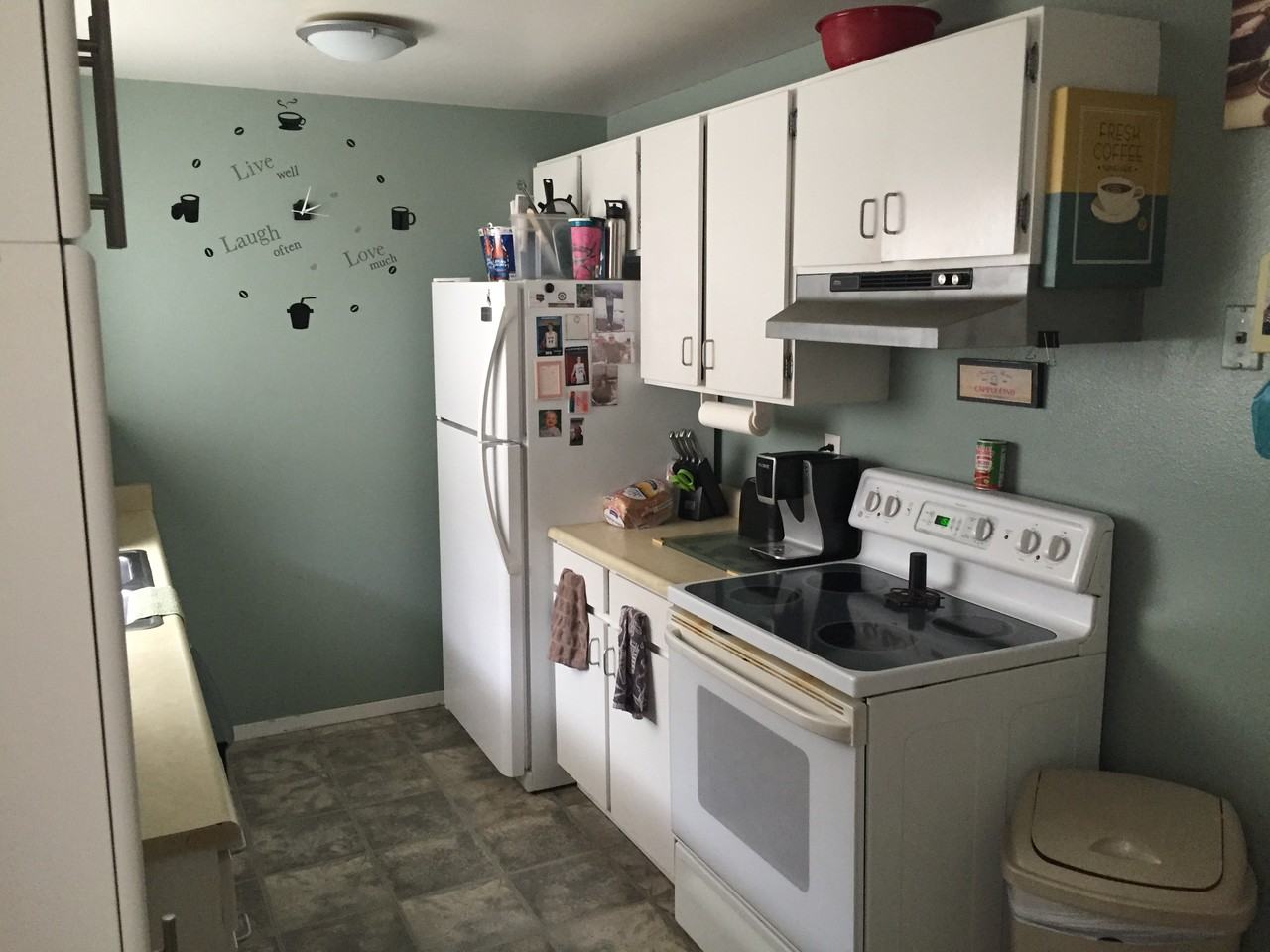 1003 Beryl Ct - Photo 3 of 15