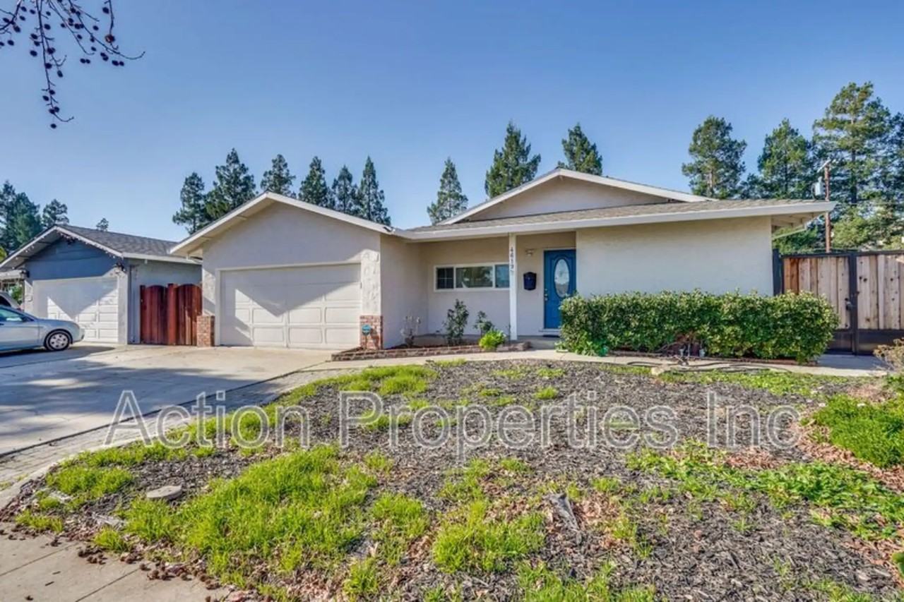 4619 Tonino Dr - Photo 3 of 50