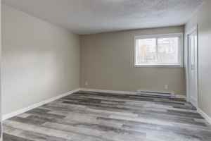 featured image of 1529 Olivia St #5