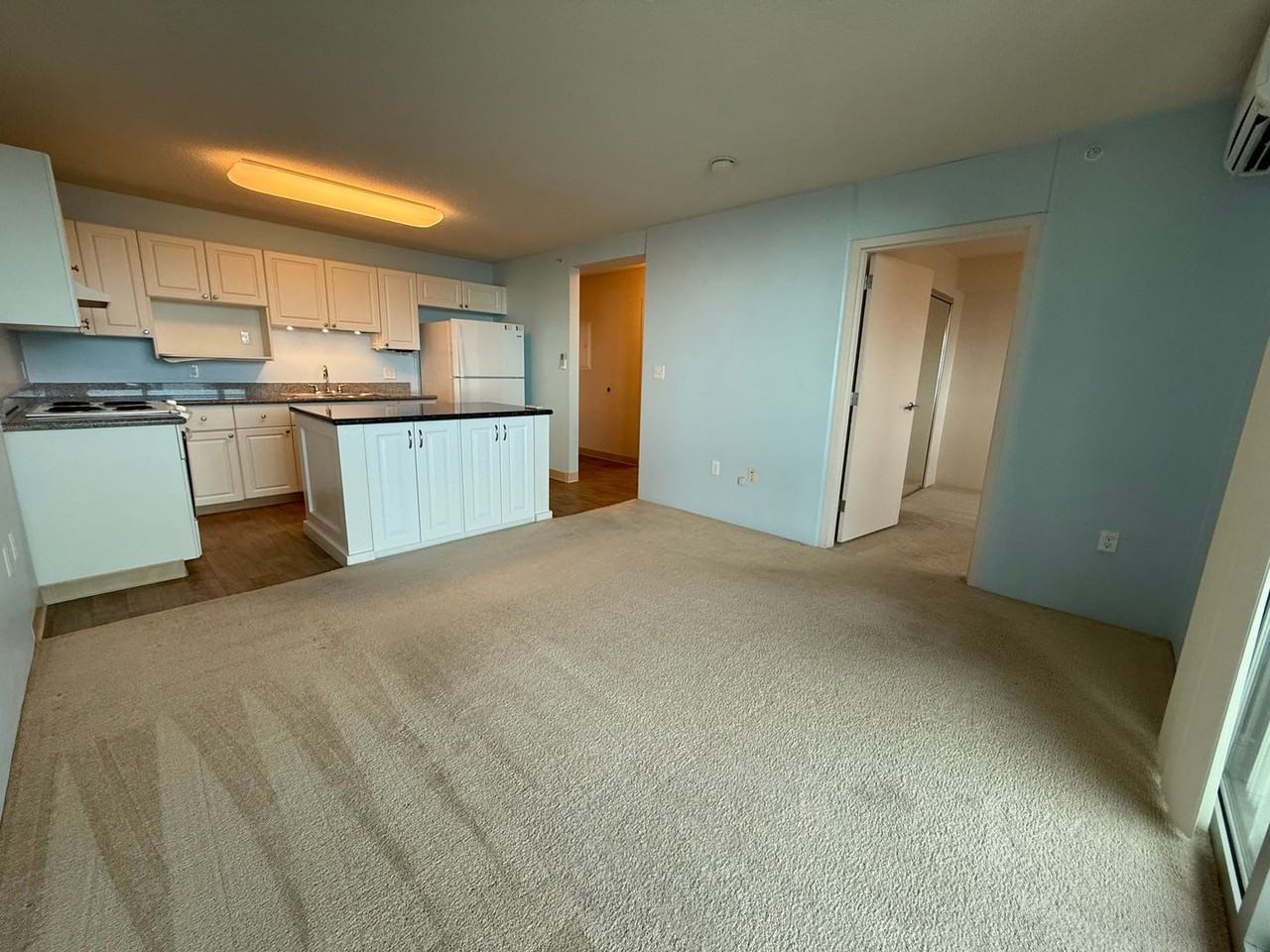 801 South St #3211