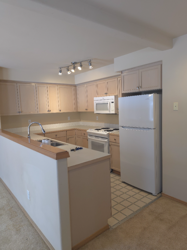 4026 Shelby Rd #1 - Photo 2 of 13