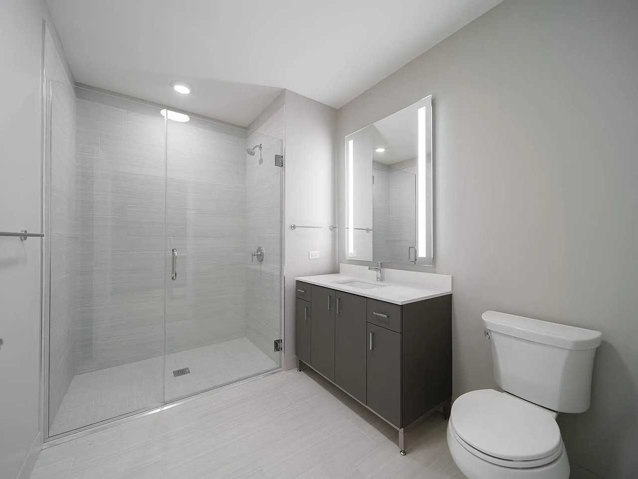 N Wells St #2401 - Photo 5 of 21