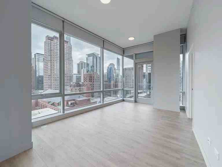 N Wells St #2401 - Photo 6 of 21