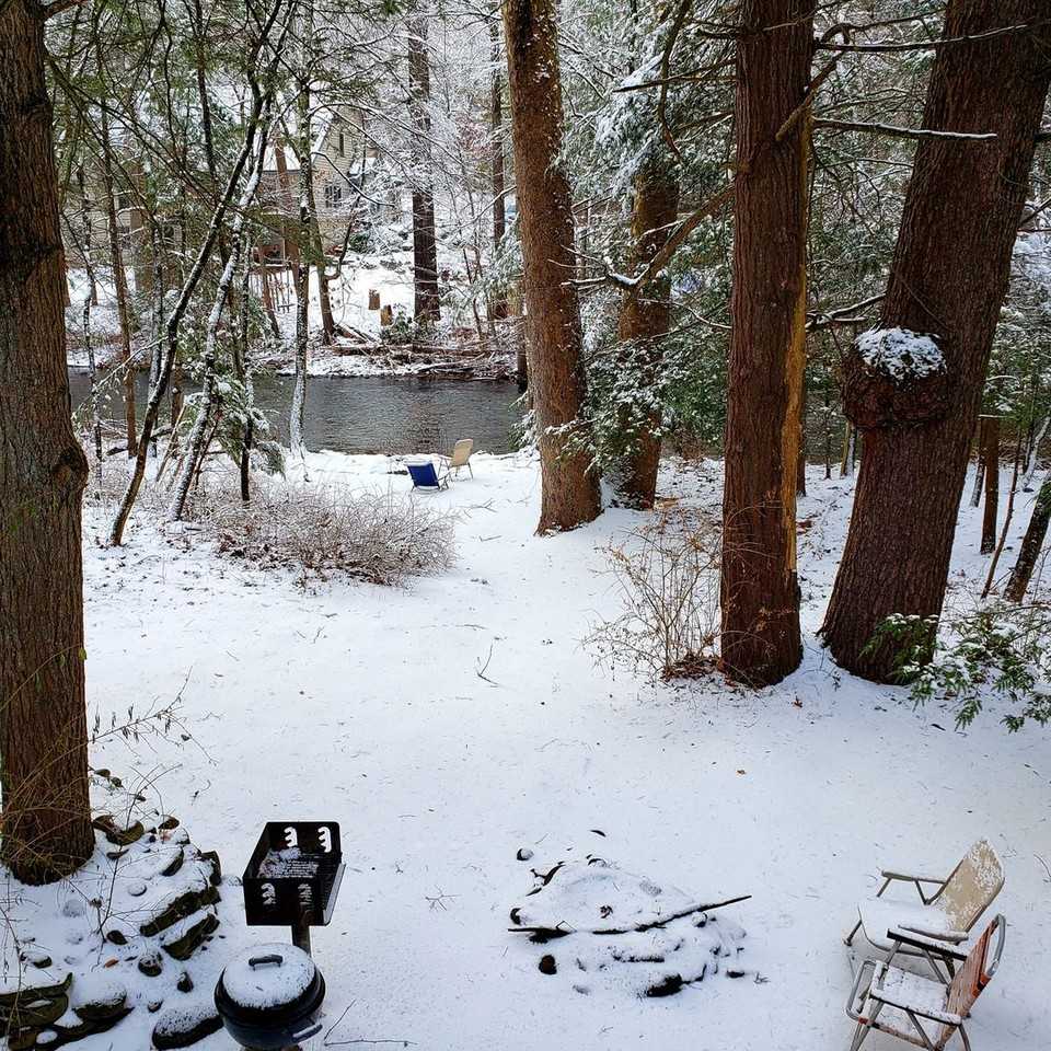 3530 Spruce Cabin Rd - Photo 2 of 19