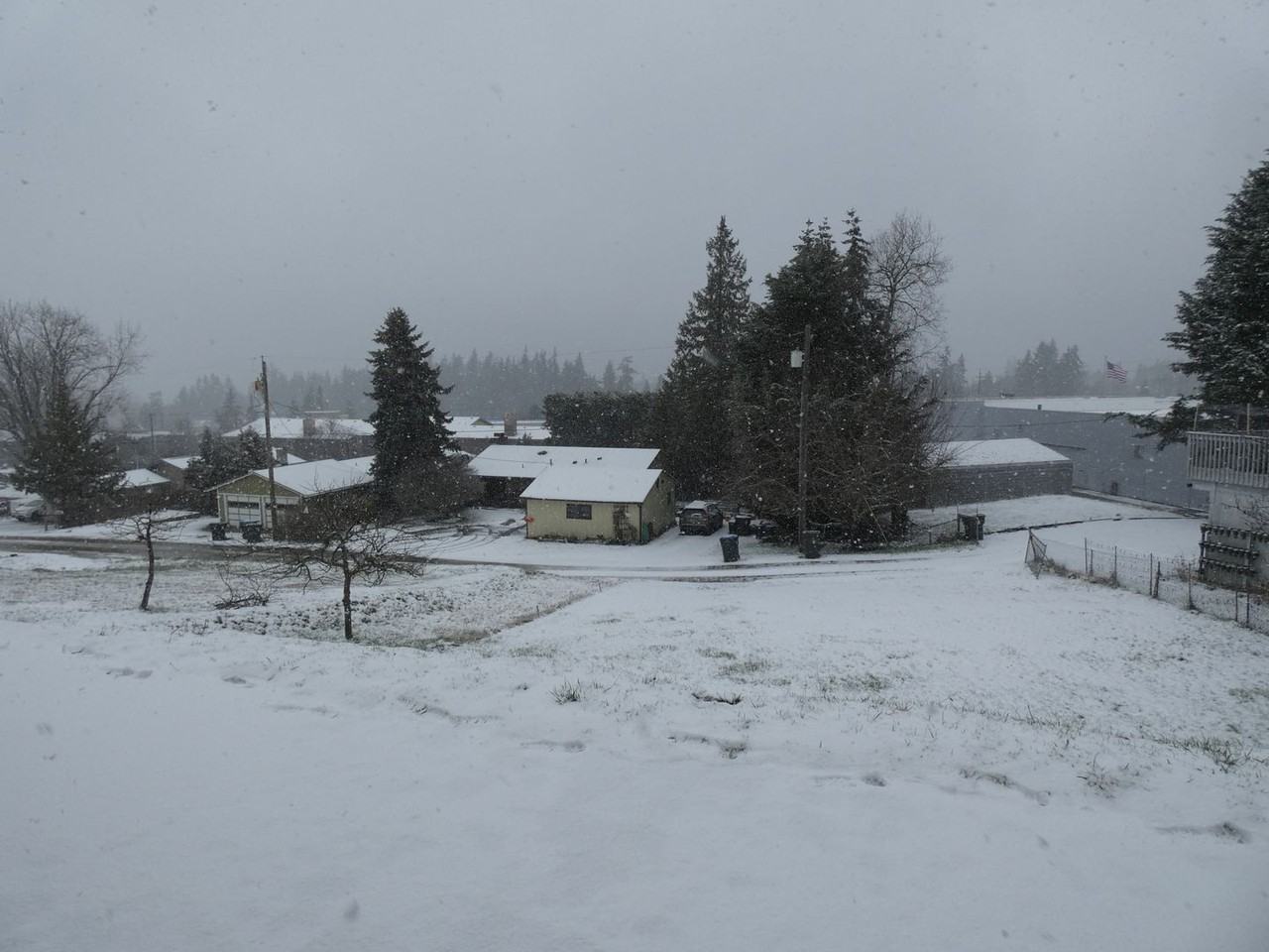 1729 1/2 E 3rd St - Photo 4 of 31