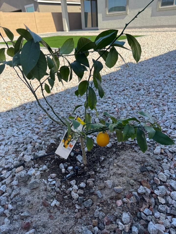 25372 N 76th Dr - Photo 5 of 42