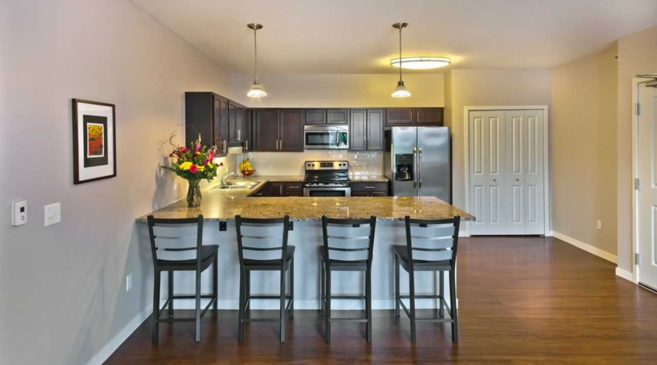 Grand & Finn II - Photo 2 of 21