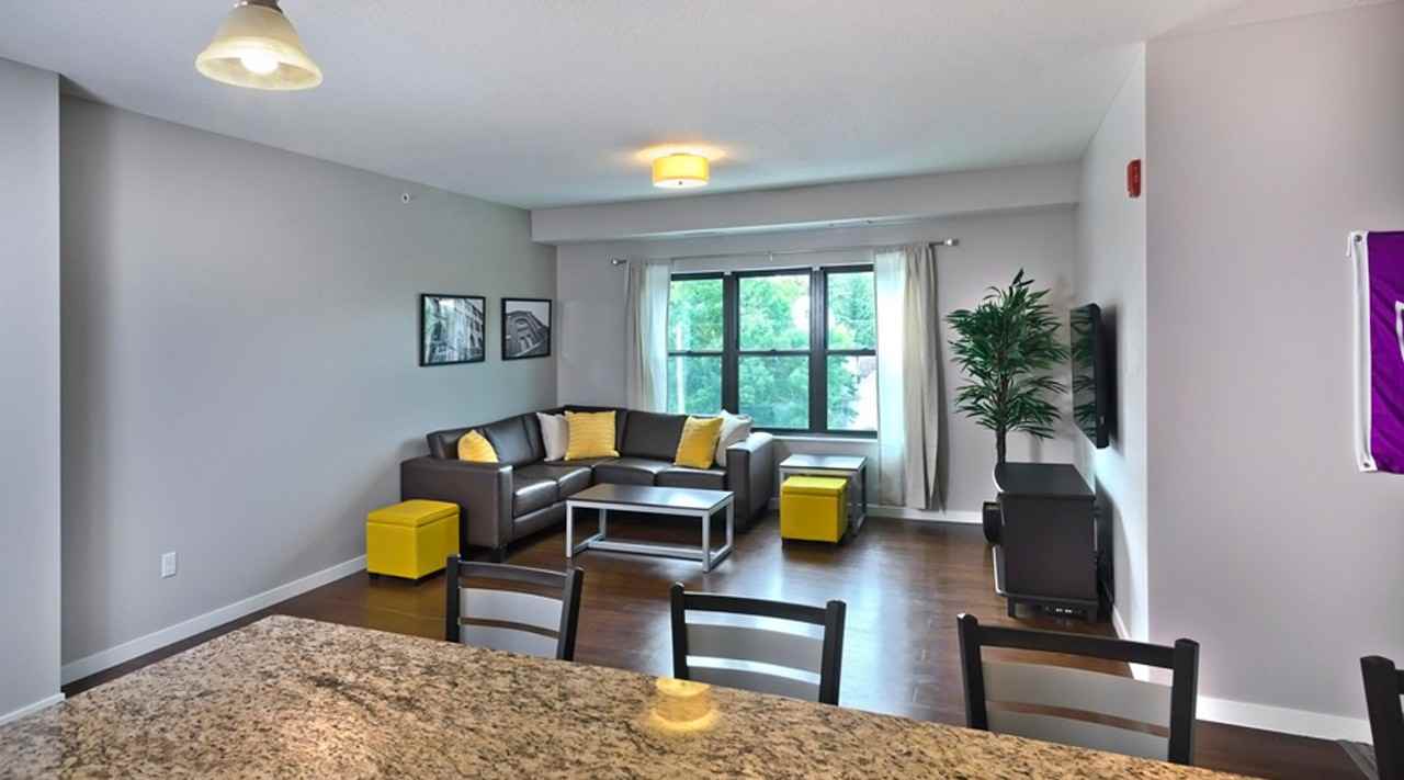 Grand & Finn II - Photo 5 of 21