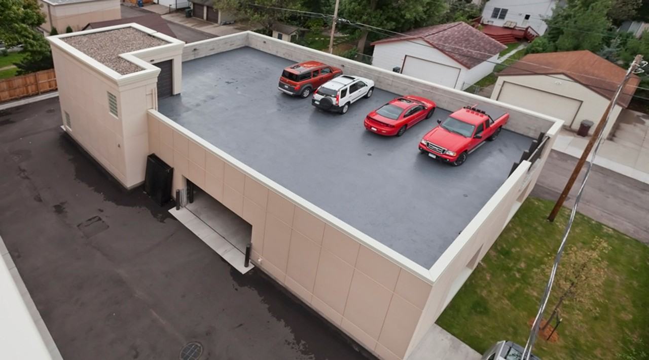 Grand & Finn II - Photo 6 of 21