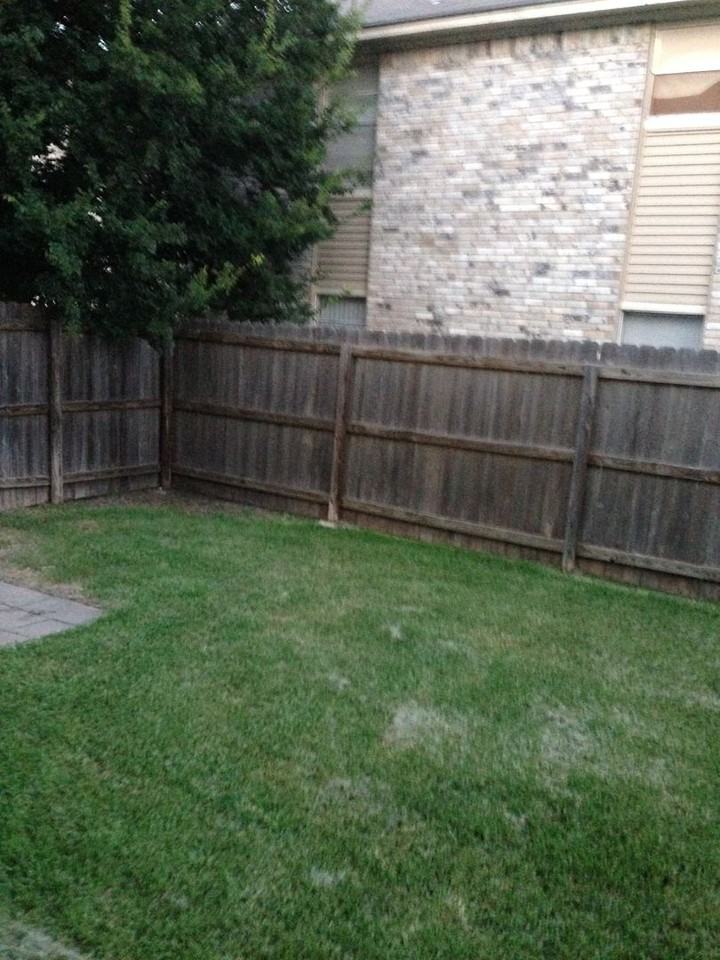 1110 Spring Loop - Photo 2 of 11