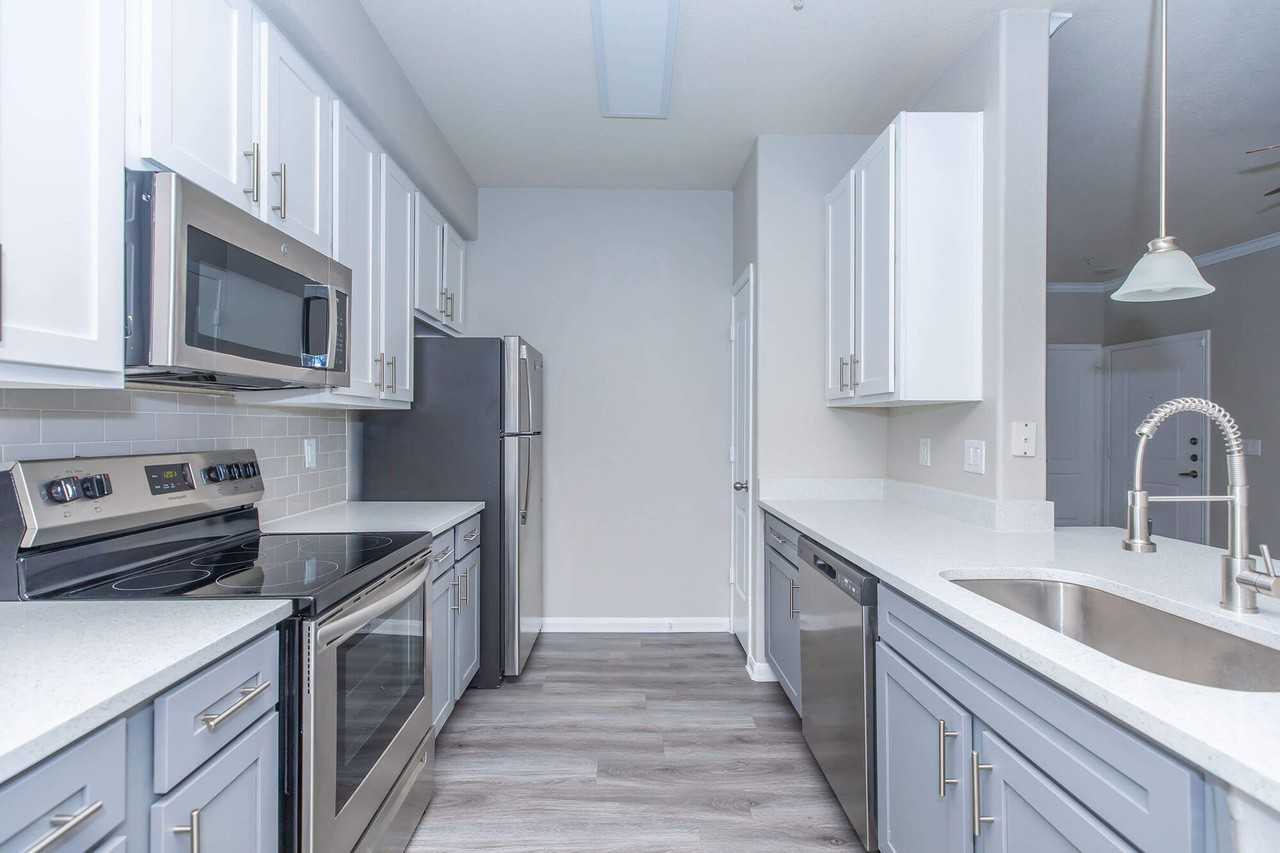 The Lynx - Photo 7 of 50