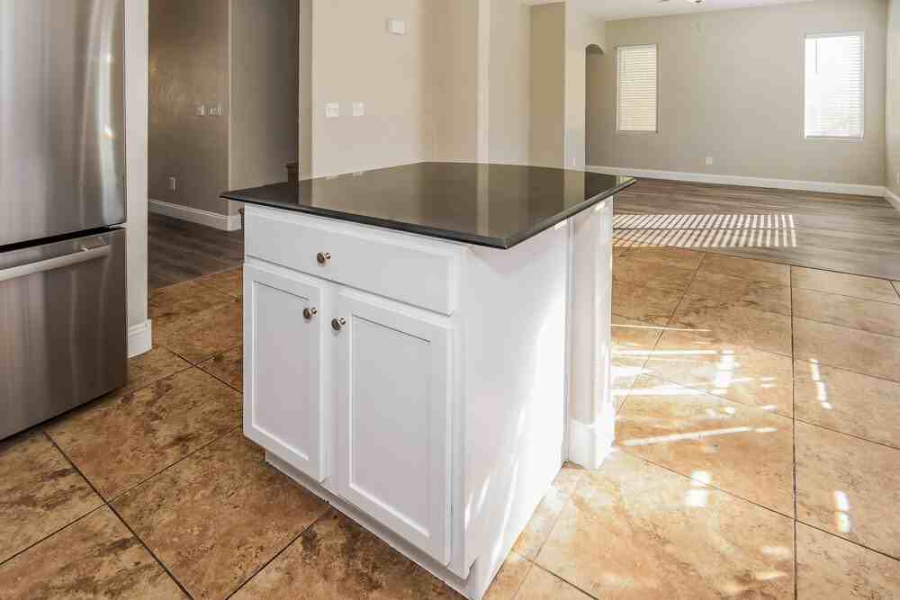 869 Shining Rose Pl - Photo 6 of 17