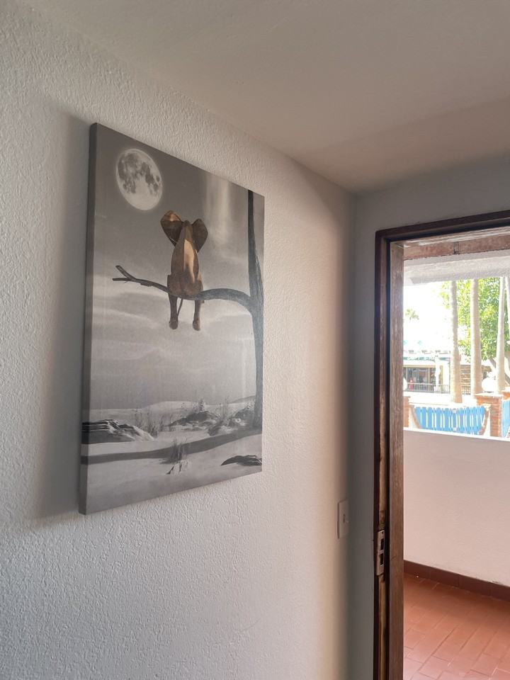 121 Clinica Veterinaria El Rodeo #5 - Photo 2 of 22