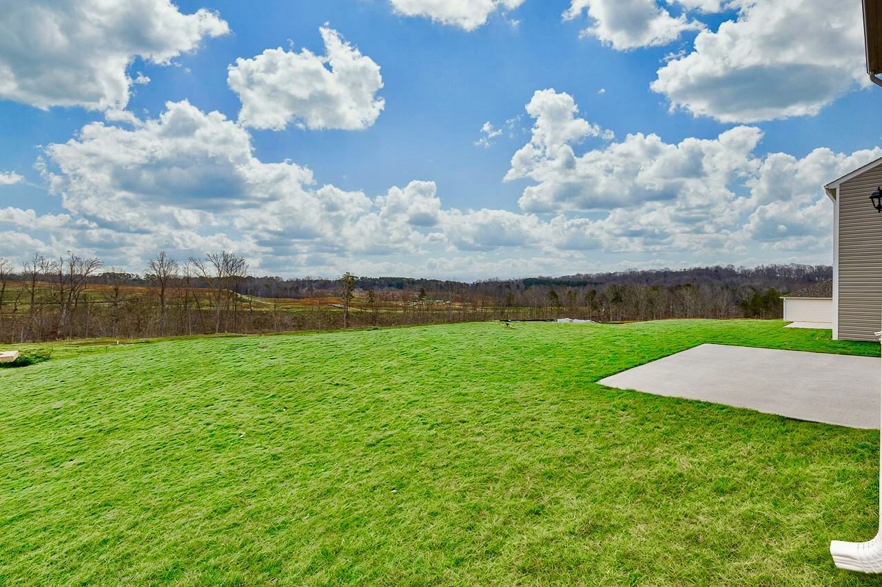 117 Fancy Trl #NA - Photo 3 of 17