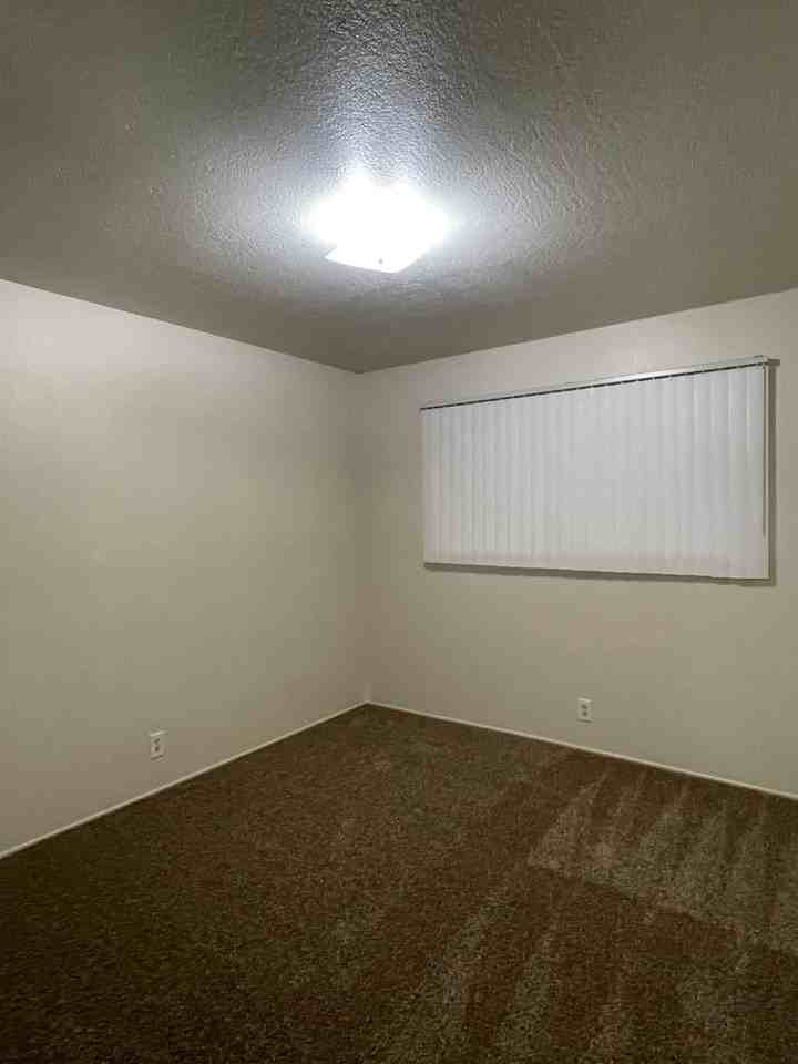 1565 Olive Ave #04 - Photo 7 of 15