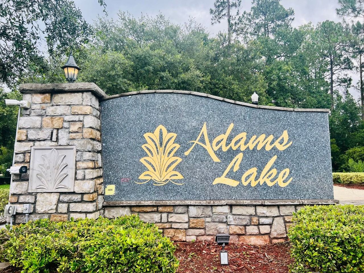 11824 Parker Lakes Dr - Photo 2 of 50