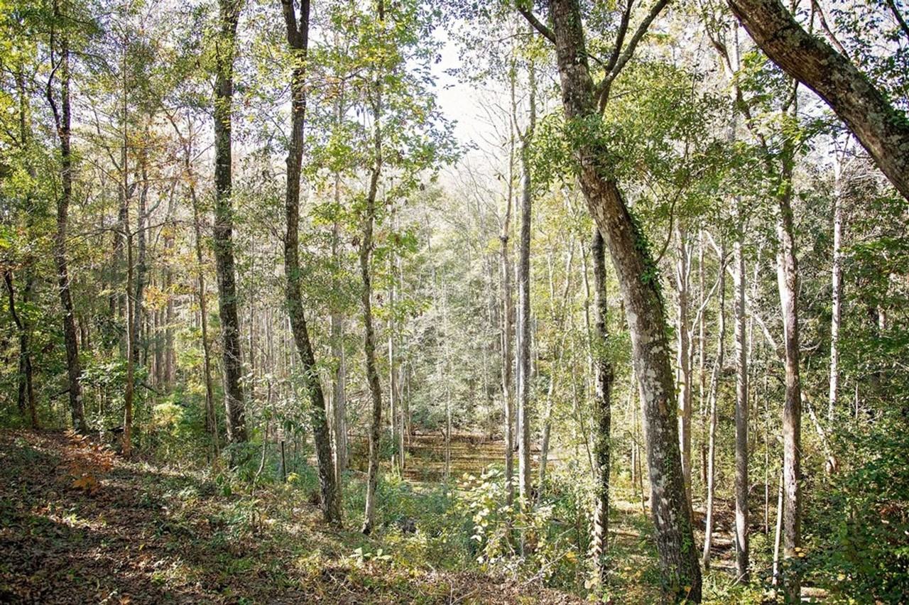 284 Sierra Rd - Photo 7 of 23