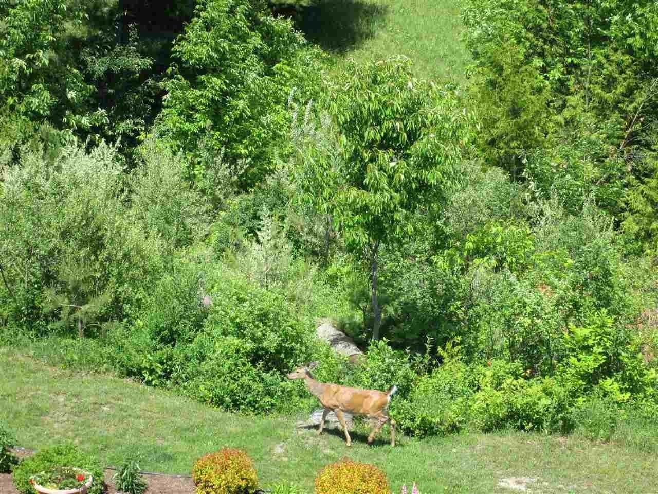 810 Harbor Watch Dr #62 - Photo 2 of 6