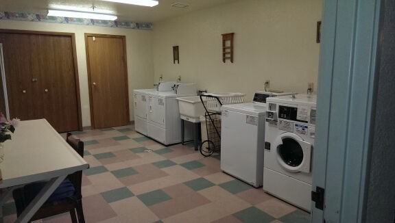 Mystic Grove - Photo 2 of 8