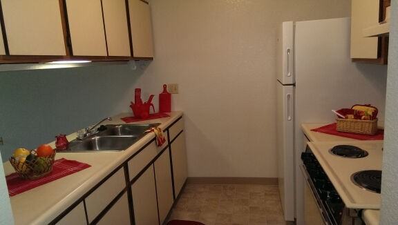 Mystic Grove - Photo 5 of 8