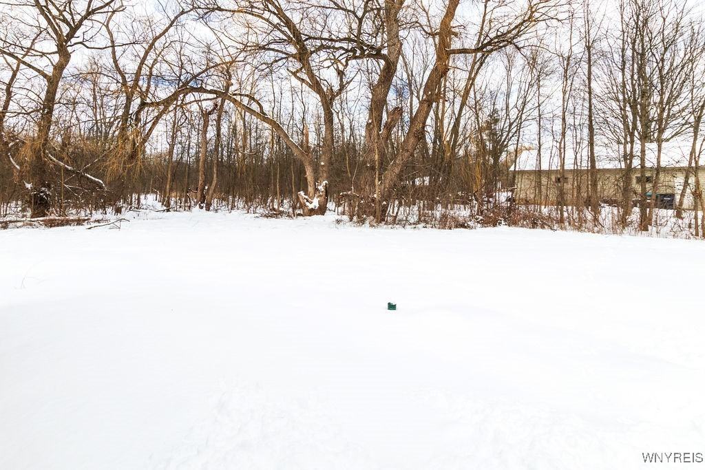 652 Alt Boulevard - Photo 3 of 46