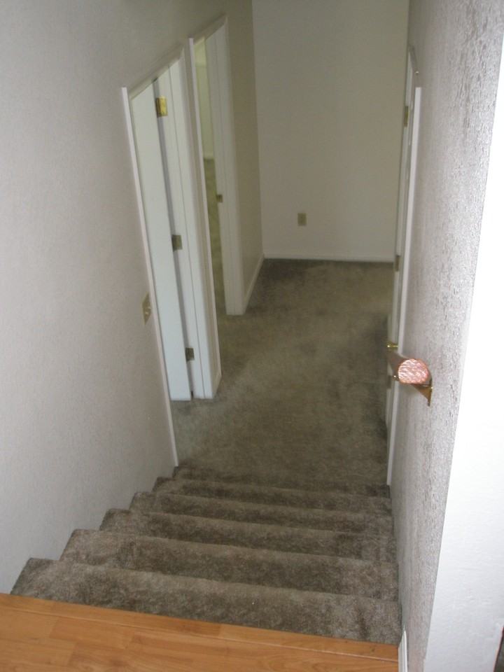 3504 Golden Valley Dr - Photo 4 of 28