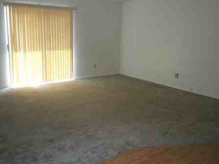 3504 Golden Valley Dr - Photo 7 of 28
