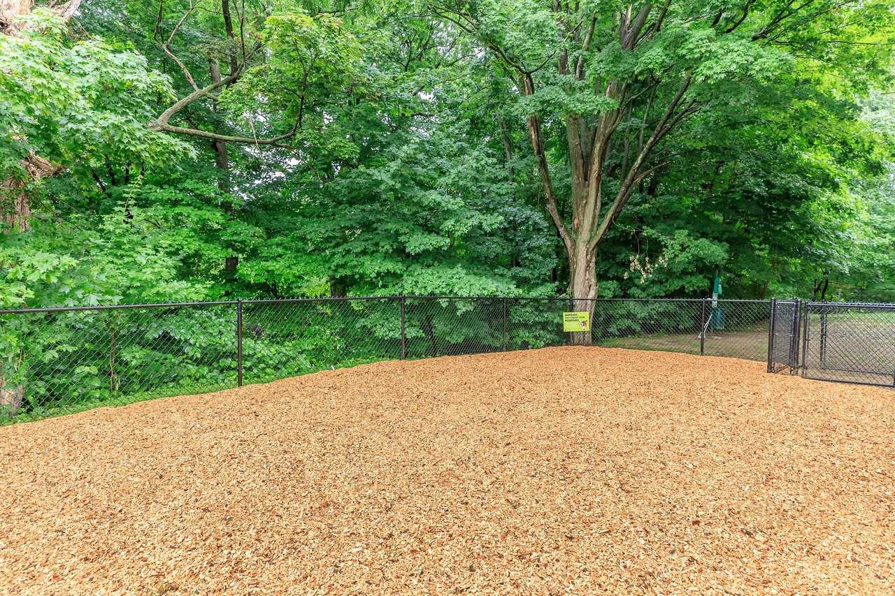 Lakeview - Photo 5 of 22