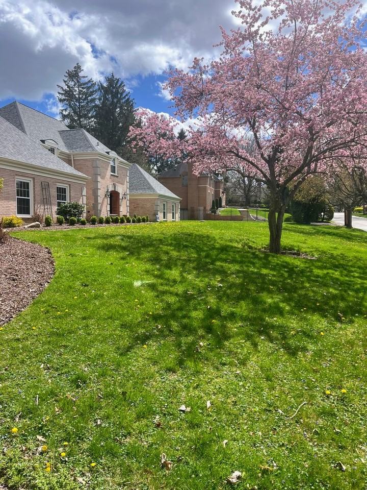 1012 Wade Ln - Photo 2 of 23