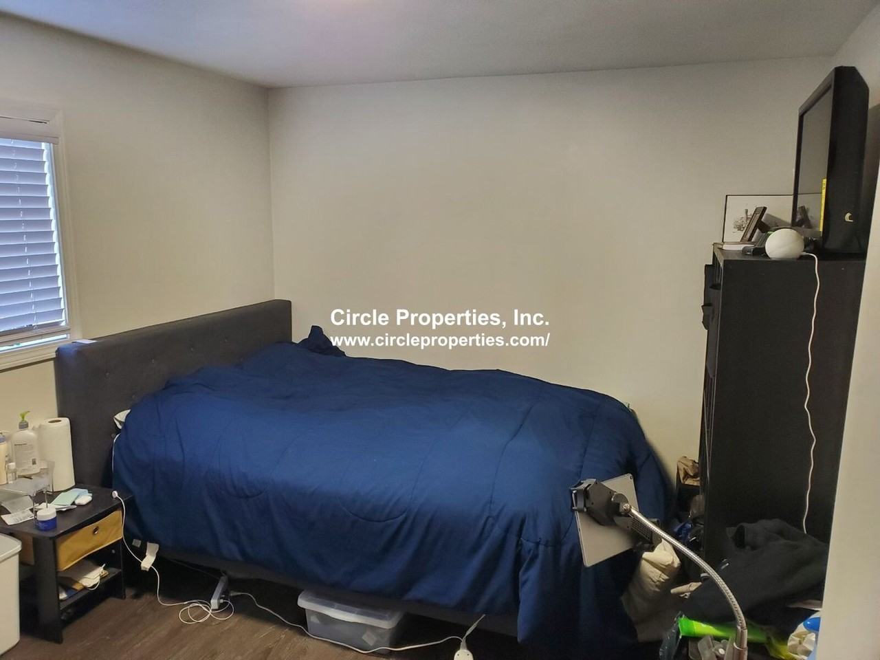 9 Darling St - Photo 4 of 6