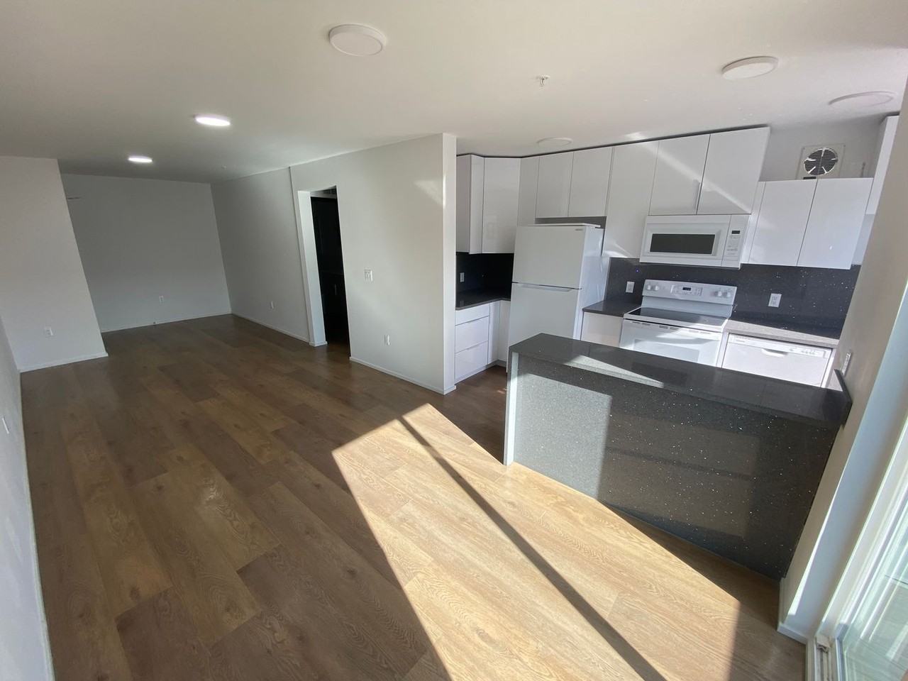 Dakar on Lake - Photo 3 of 8