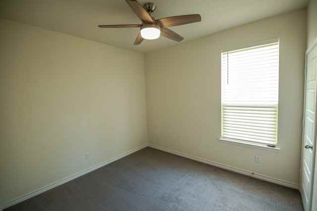 29828 Jove - Photo 7 of 25