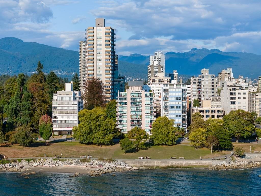 Flamingo - Photo 3 of 18