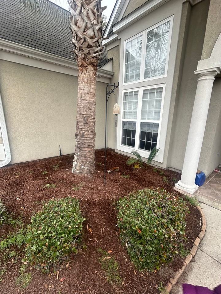 2798 Sanctuary Blvd - Photo 6 of 50