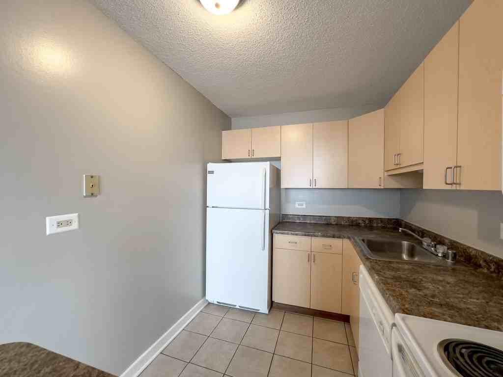 1212 S Michigan Ave #2703 - Photo 3 of 21