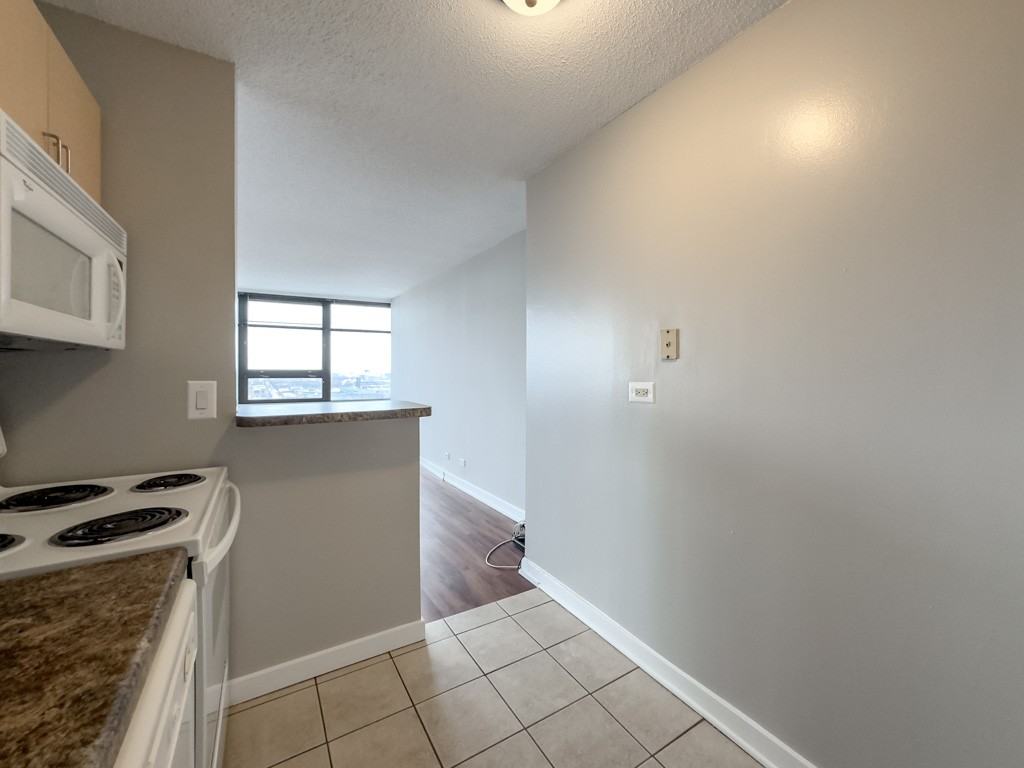 1212 S Michigan Ave #2703 - Photo 4 of 21