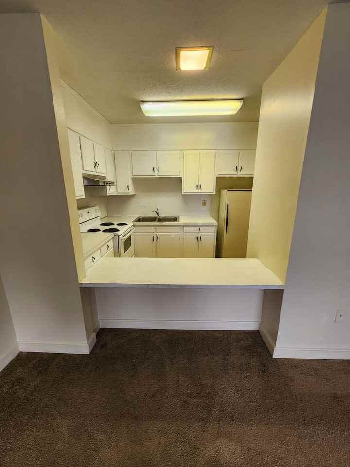 420 Wheatley - Photo 2 of 23