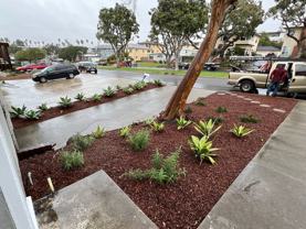 Miramar Pacific Partners LP - Photo 1 of 1