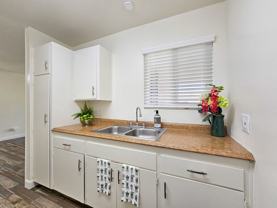 Shady Terrace - Photo 1 of 1