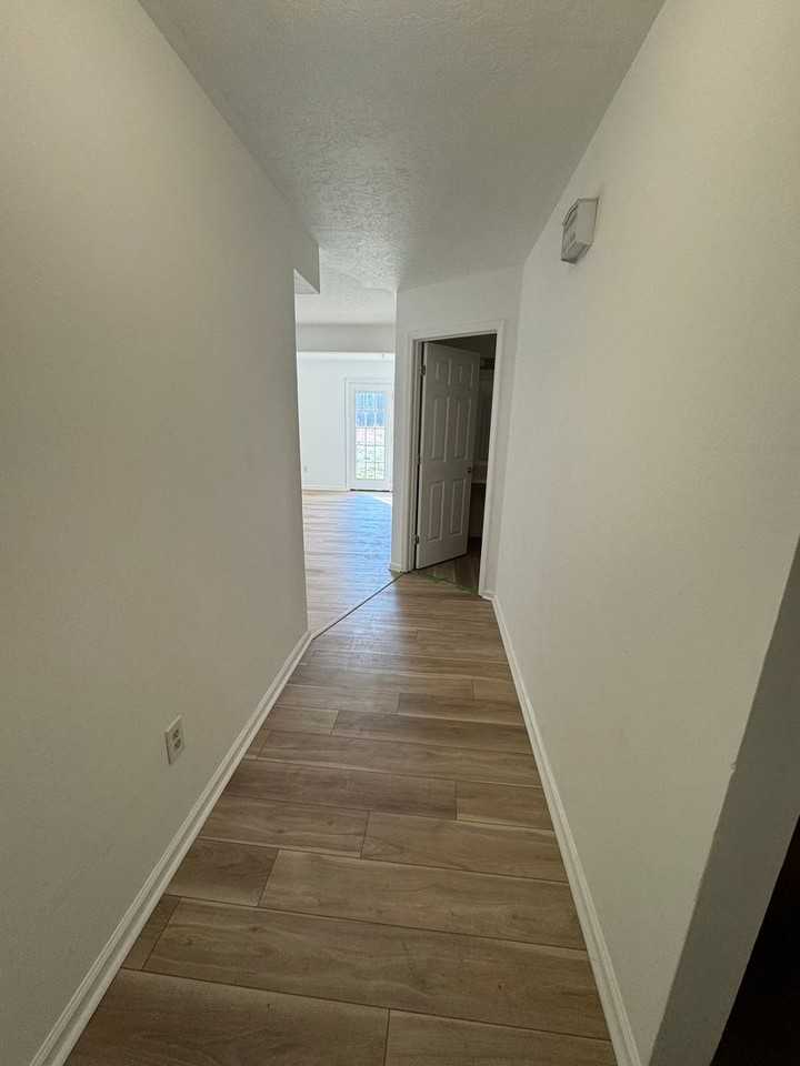 Archtree - Photo 2 of 24