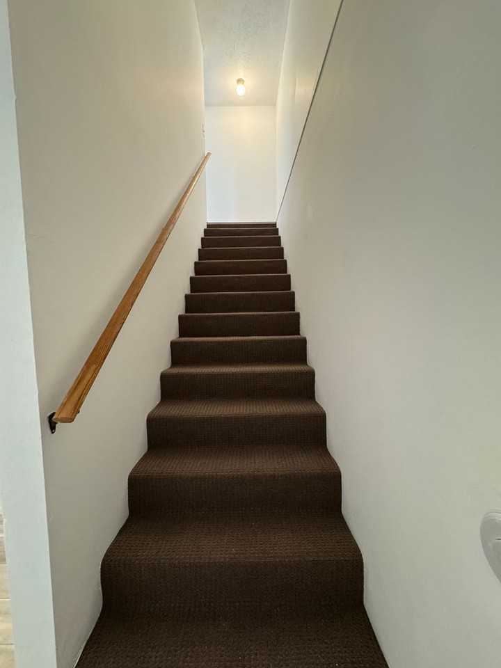 Archtree - Photo 7 of 24