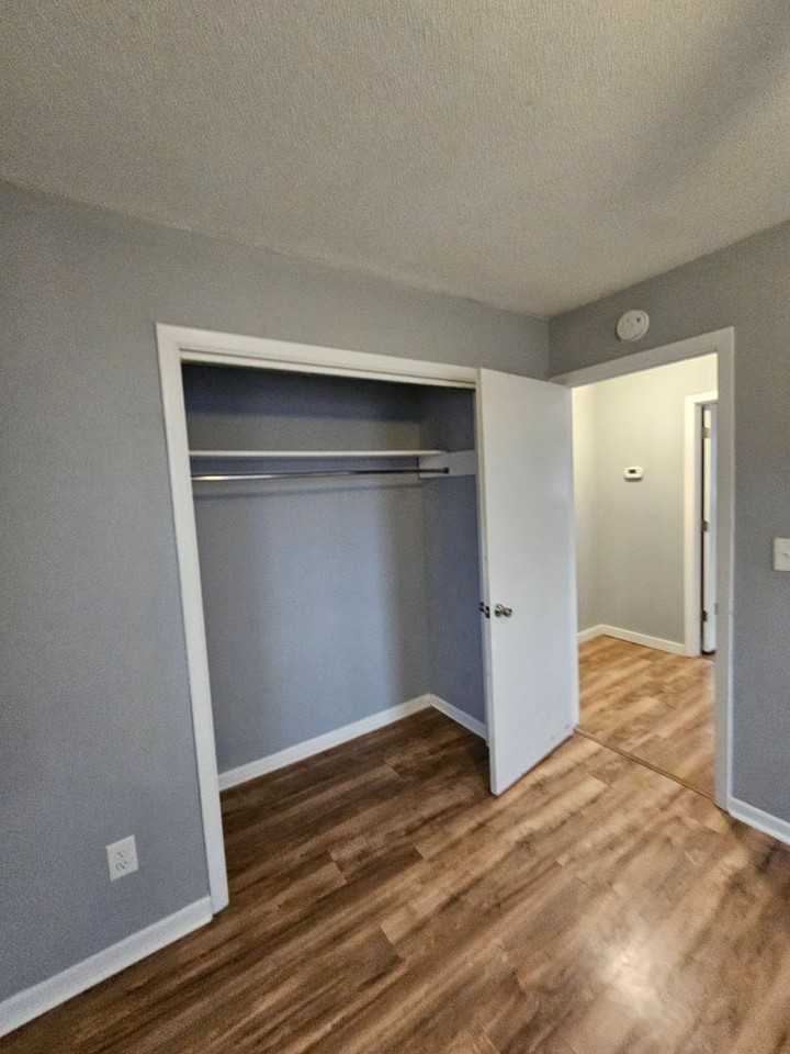 316 Cougar Ln - Photo 5 of 11