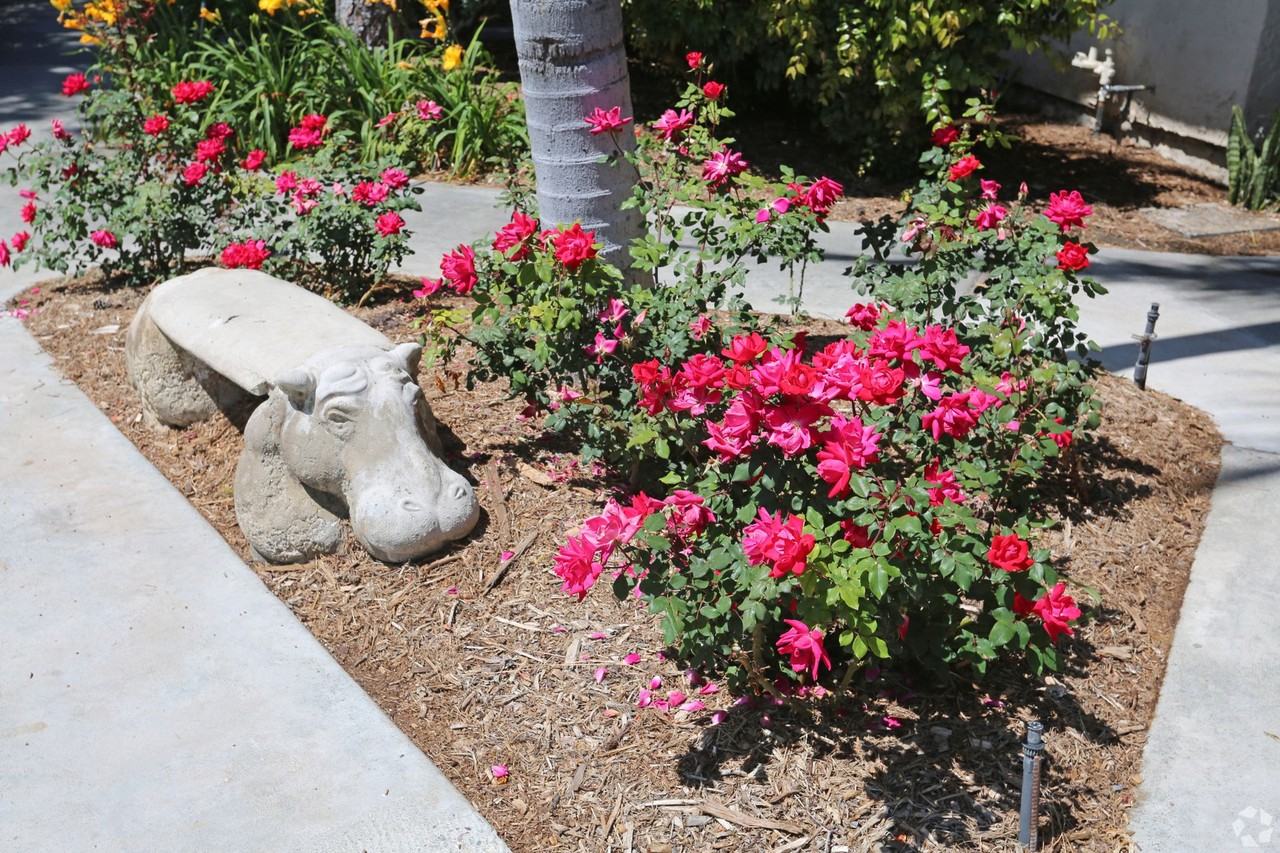 Rancho Monterey - Photo 5 of 9