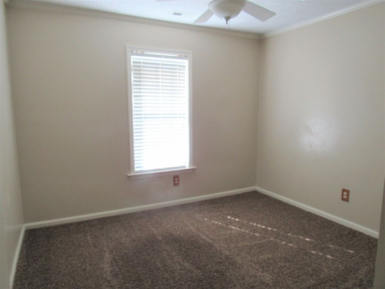 118 Carolina Pines Dr - Photo 5 of 23