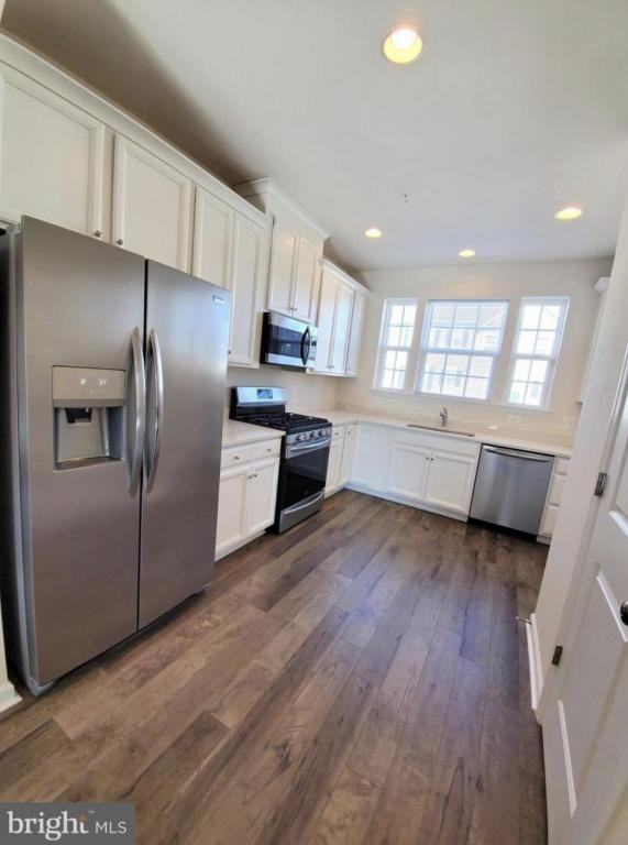 43719 Winterberry Way - Photo 4 of 15