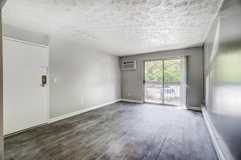 The Views of Mt Airy - Photo 1 of 1