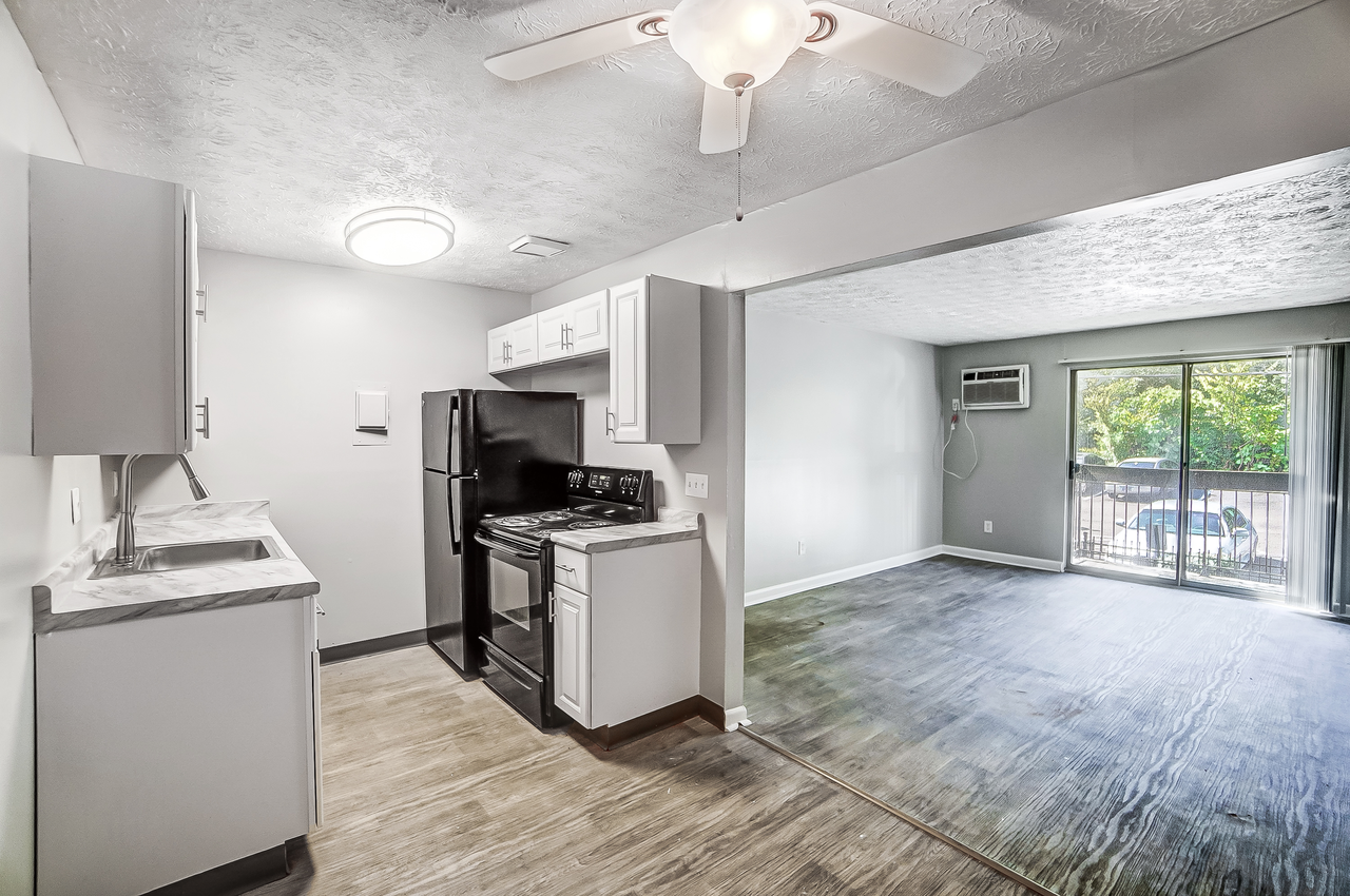 The Views of Mt Airy - Photo 3 of 23