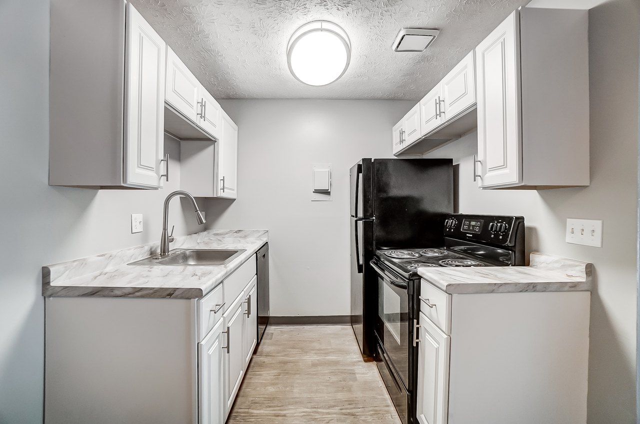 The Views of Mt Airy - Photo 4 of 23